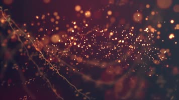 周杰伦世界末日歌曲背景