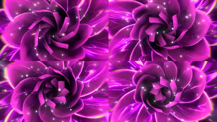紫色花瓣盛开流光背景