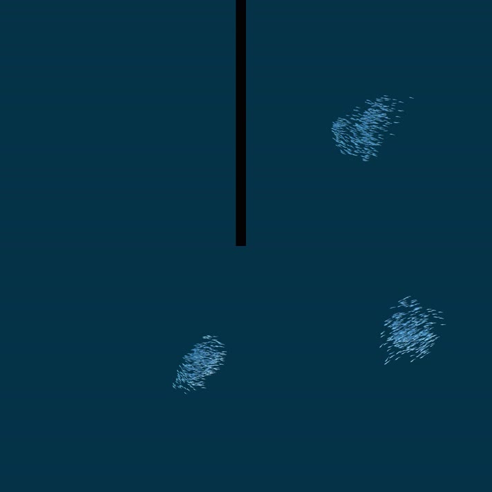 （全网最长）4K影视级鱼群通道