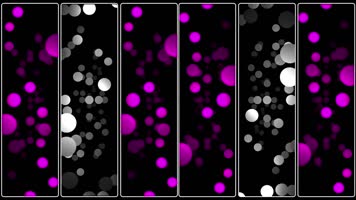 动感视频 动感视频