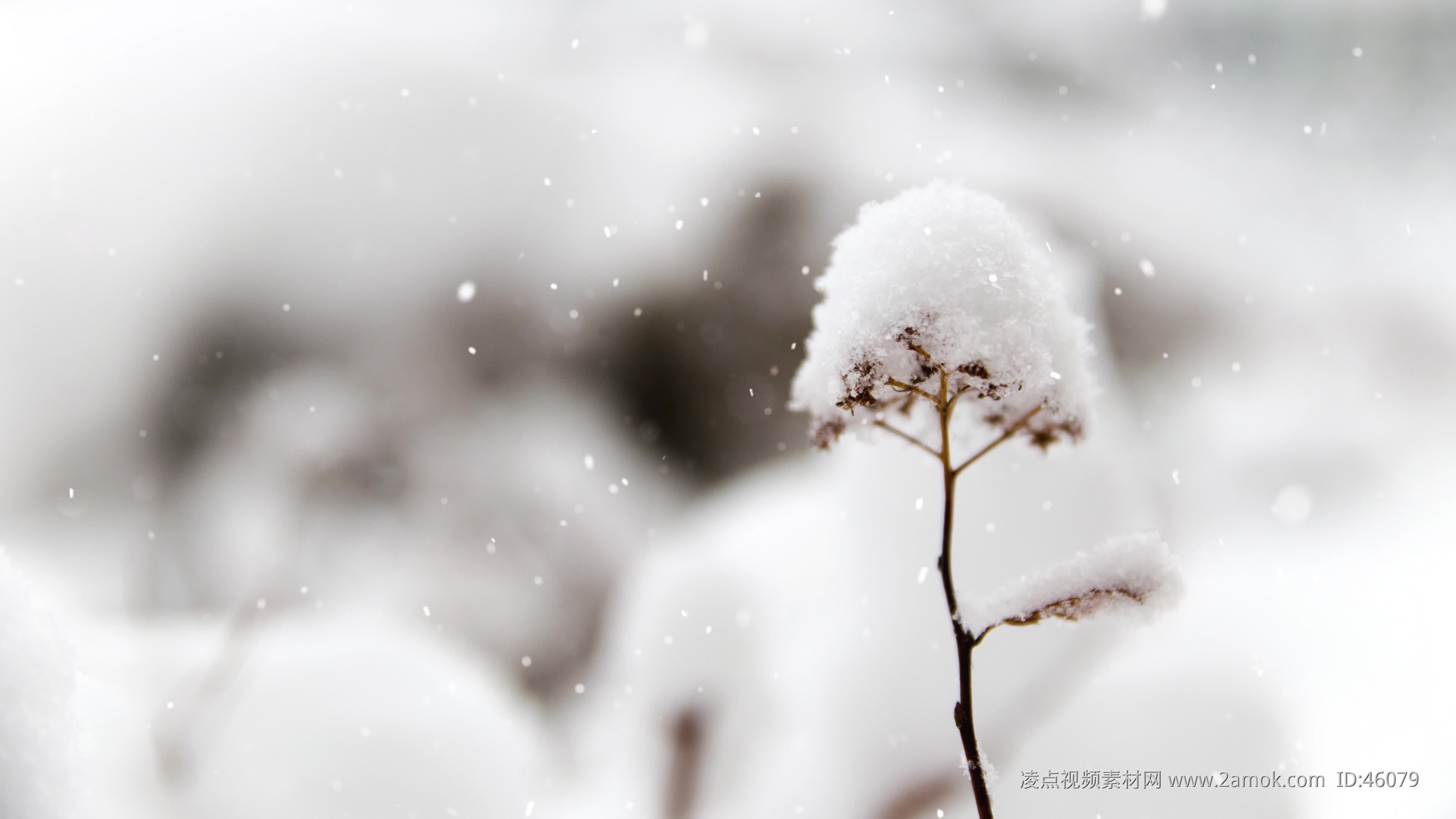 小雪节气冬天下雪场景插画图片-千库网