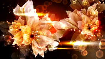 动态唯美花朵婚庆LED大屏幕舞台视频婚礼