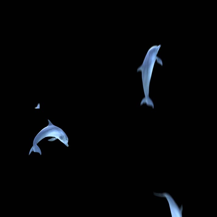 2K三维影视级海豚跃出水面（带通道） 