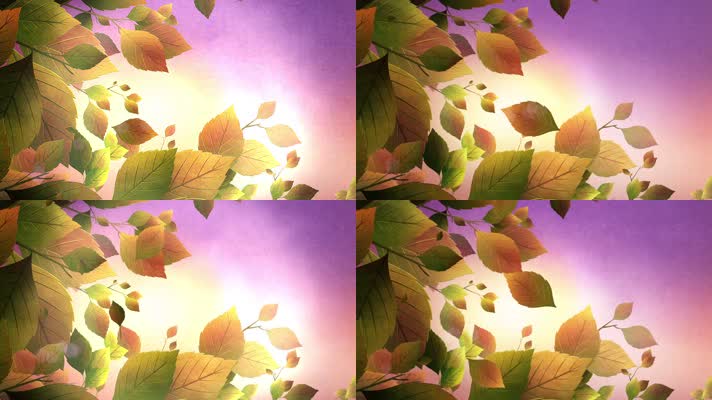 梦幻水彩思念回忆唯美卡通落叶