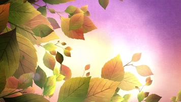 梦幻水彩思念回忆唯美卡通落叶