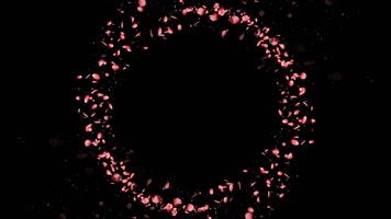 花瓣花环旋转循环通道1