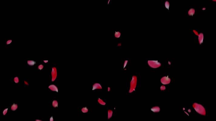 红色花瓣循环通道 (3)