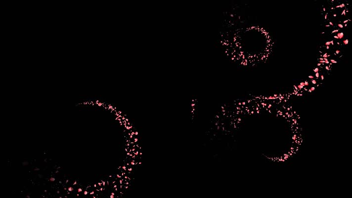 花瓣花环旋转循环通道