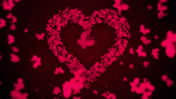 婚礼桃心蝴蝶背景