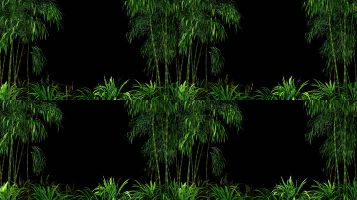 影视级竹林带透明通道
