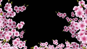 桃花花枝蔓延通道