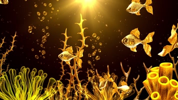 原版唯美金色鱼群游动