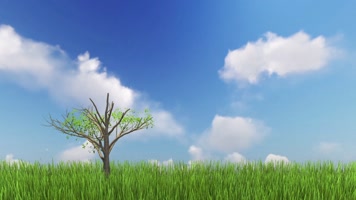 原版蓝天草地小树茁壮成长