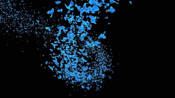 唯美蓝色蝴蝶转场通道 (5)