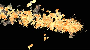 唯美蝴蝶划屏转场通道 (7)