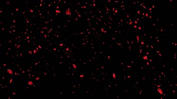 长镜头玫瑰花飞舞飘落 (1) 长镜头玫瑰花飞舞飘落 (1)