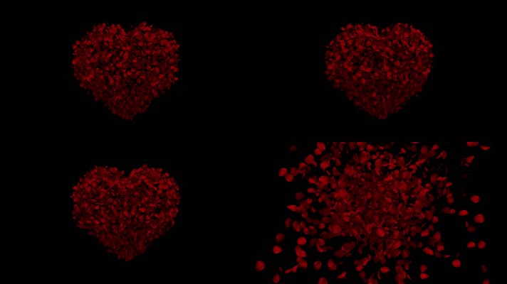 玫瑰花瓣心形飘散通道