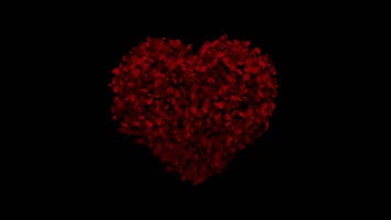 玫瑰花瓣心形飘散通道