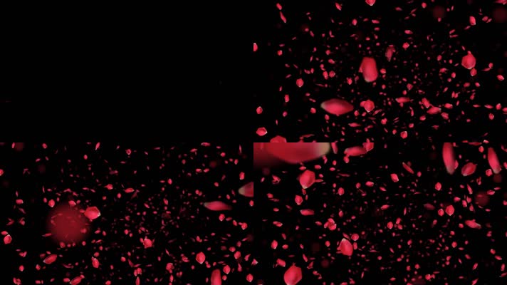 玫瑰冲屏60秒透明通道