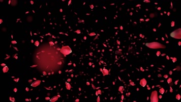 玫瑰冲屏60秒透明通道 玫瑰冲屏60秒透明通道