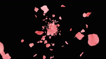 4K玫瑰花瓣飞舞汇聚心形 4K玫瑰花瓣飞舞汇聚心形