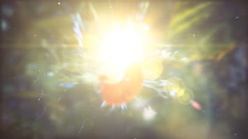 雨后清新大自然