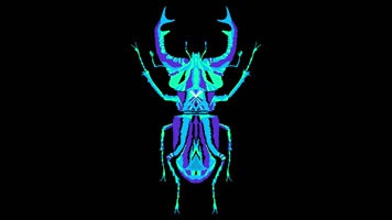 时尚昆虫甲虫全息投影