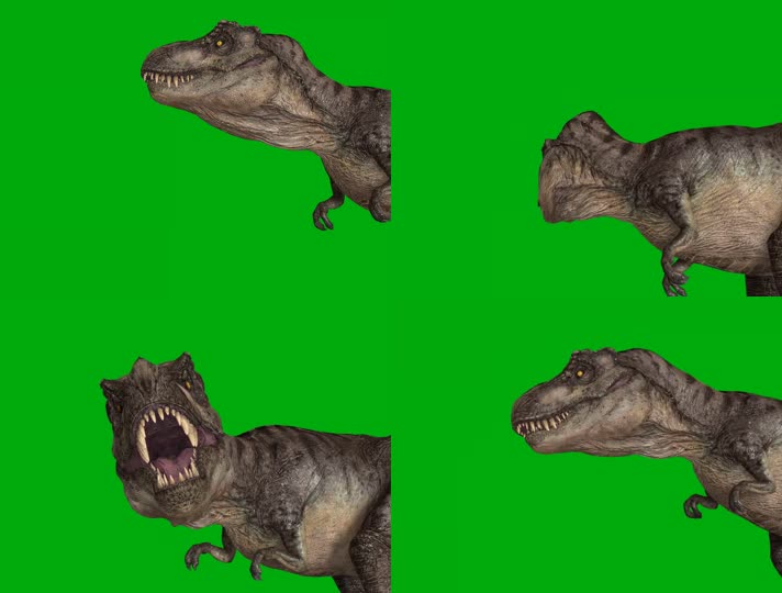 绿屏恐龙愤怒