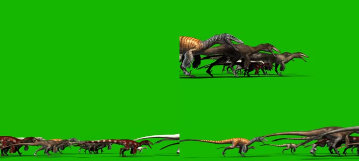绿屏恐龙群奔跑特效视频