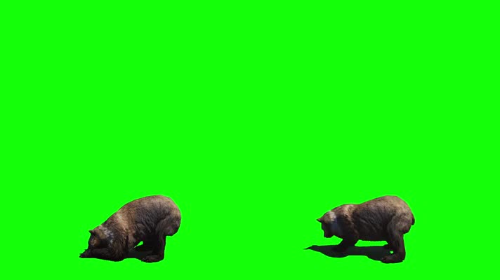 绿屏熊特效抠像合成素材