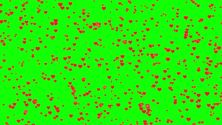 绿屏红色粒子心形飘落爱情婚礼