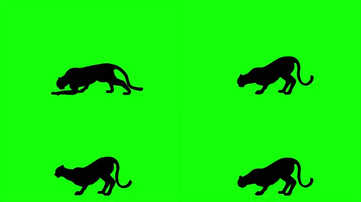 猎豹绿屏3D动画无缝循环