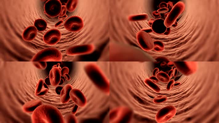 高科技人体血管显微镜红细胞流动