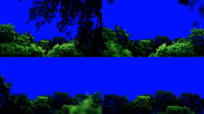 绿屏林木丛林穿梭抠像特效素材