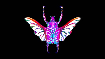 时尚甲虫全息投影