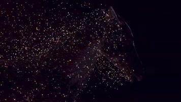 震撼粒子火焰马奔跑特效