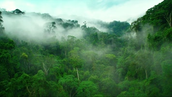 【可商用】极品航拍原始森林一组