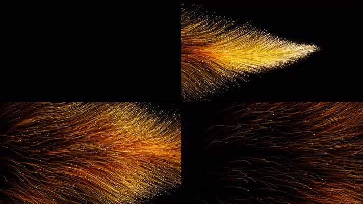 羽毛粒子背景01