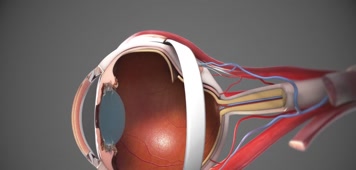 视频素材 实拍视频 医疗教育 3D人体眼睛医疗手术动画演示 视频素材 实拍视频 医疗教育 3D人体眼睛医疗手术动画演示