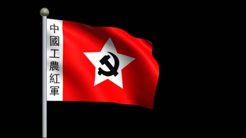 老党旗（带通道）视频