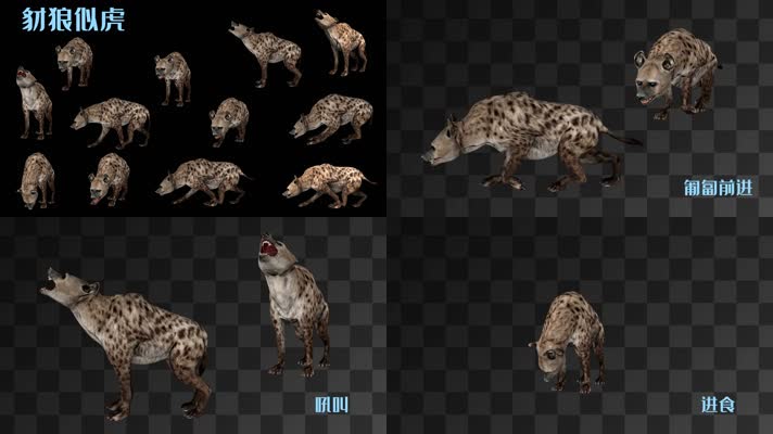 【HD】豺狼似虎