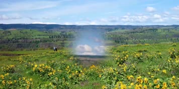 春季大自然美丽花朵 