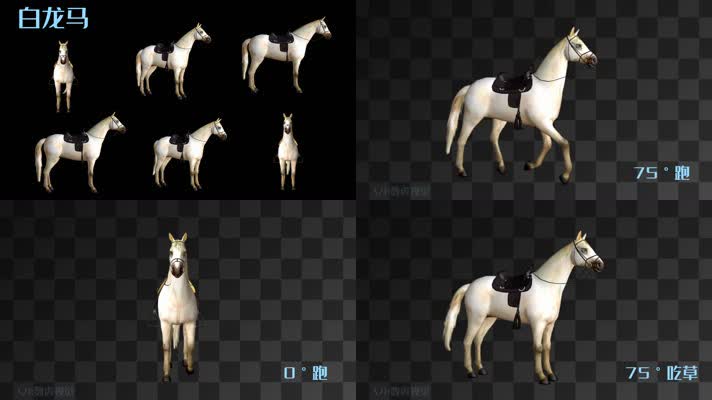 【HD】白龙马