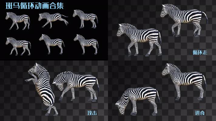 【HD】斑马循环动画合集