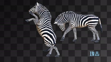 【HD】斑马循环动画合集