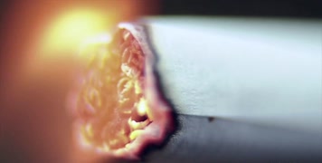 生物医疗流行病原体传染病 生物医疗流行病原体传染病