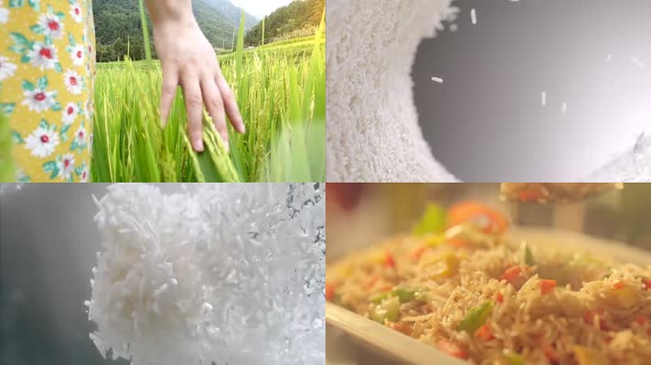大米 水稻 唯美 美食 