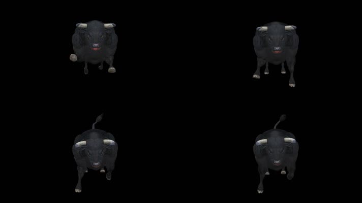 三维动物 公牛奔跑 野牛 非洲水牛  
