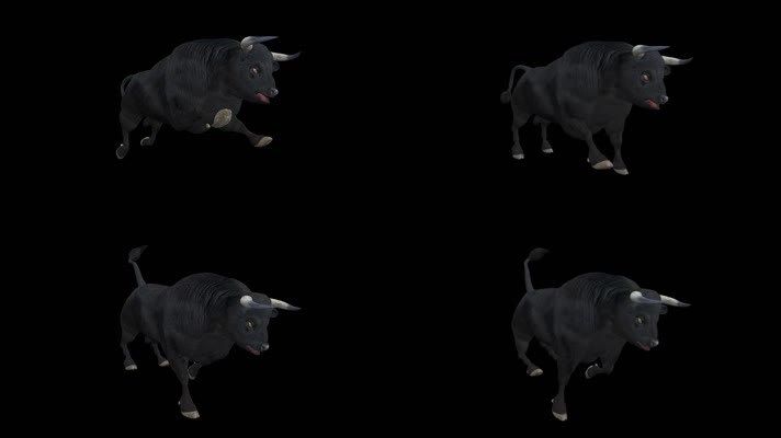 三维动物 公牛奔跑 野 