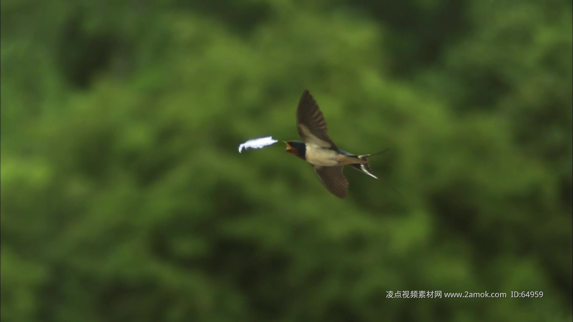 中国风手绘燕子风筝图片素材免费下载 - 觅知网